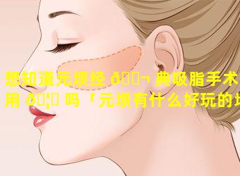 想知道元坝经 🐬 典吸脂手术费用 🦟 吗「元坝有什么好玩的地方」